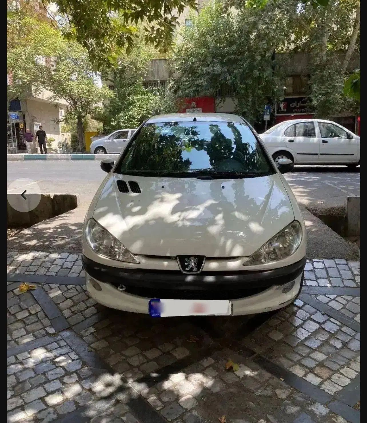 پژو 206 تیپ 5 - 1393