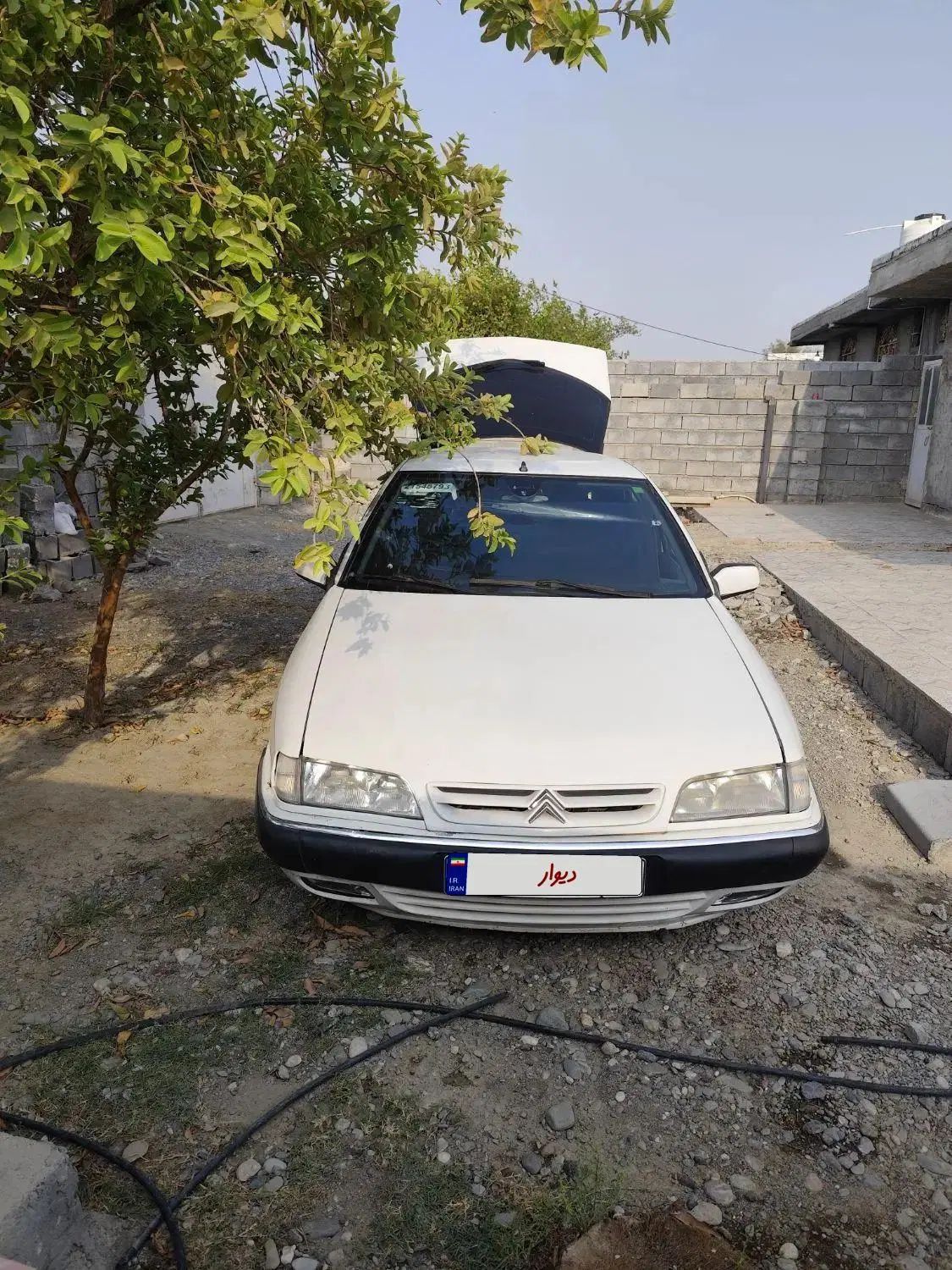 سیتروئن زانتیا SX - 1388