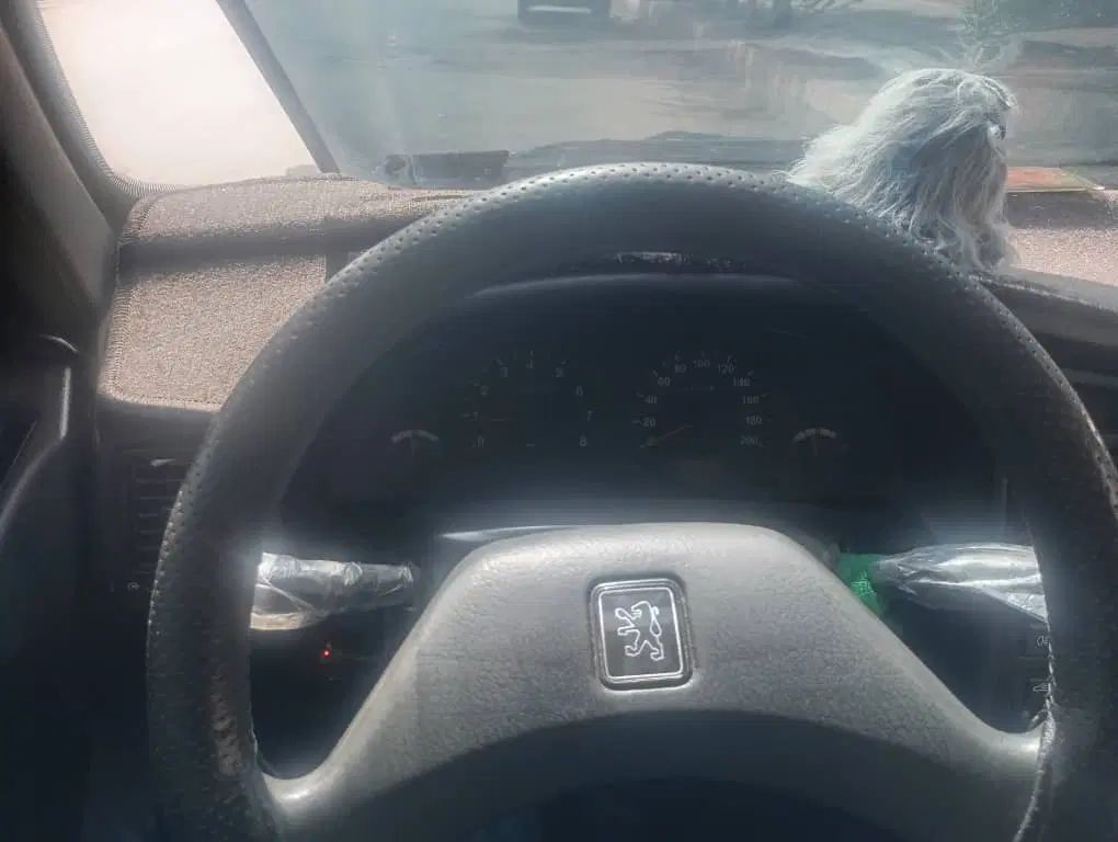 پژو آردی دوگانه سوز CNG - 1384
