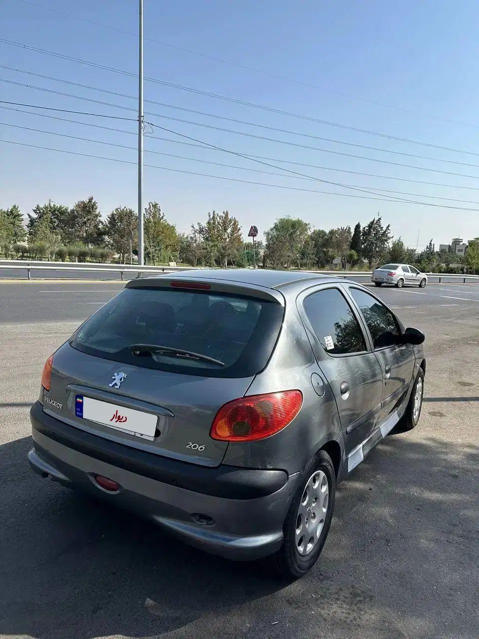 پژو 206 تیپ 5 - 1393