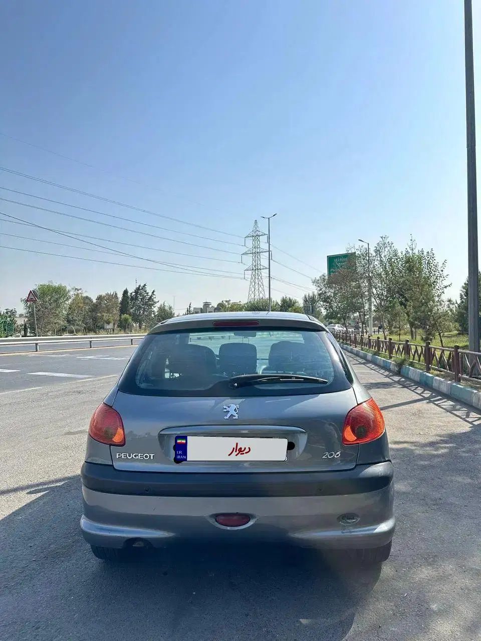 پژو 206 تیپ 5 - 1393