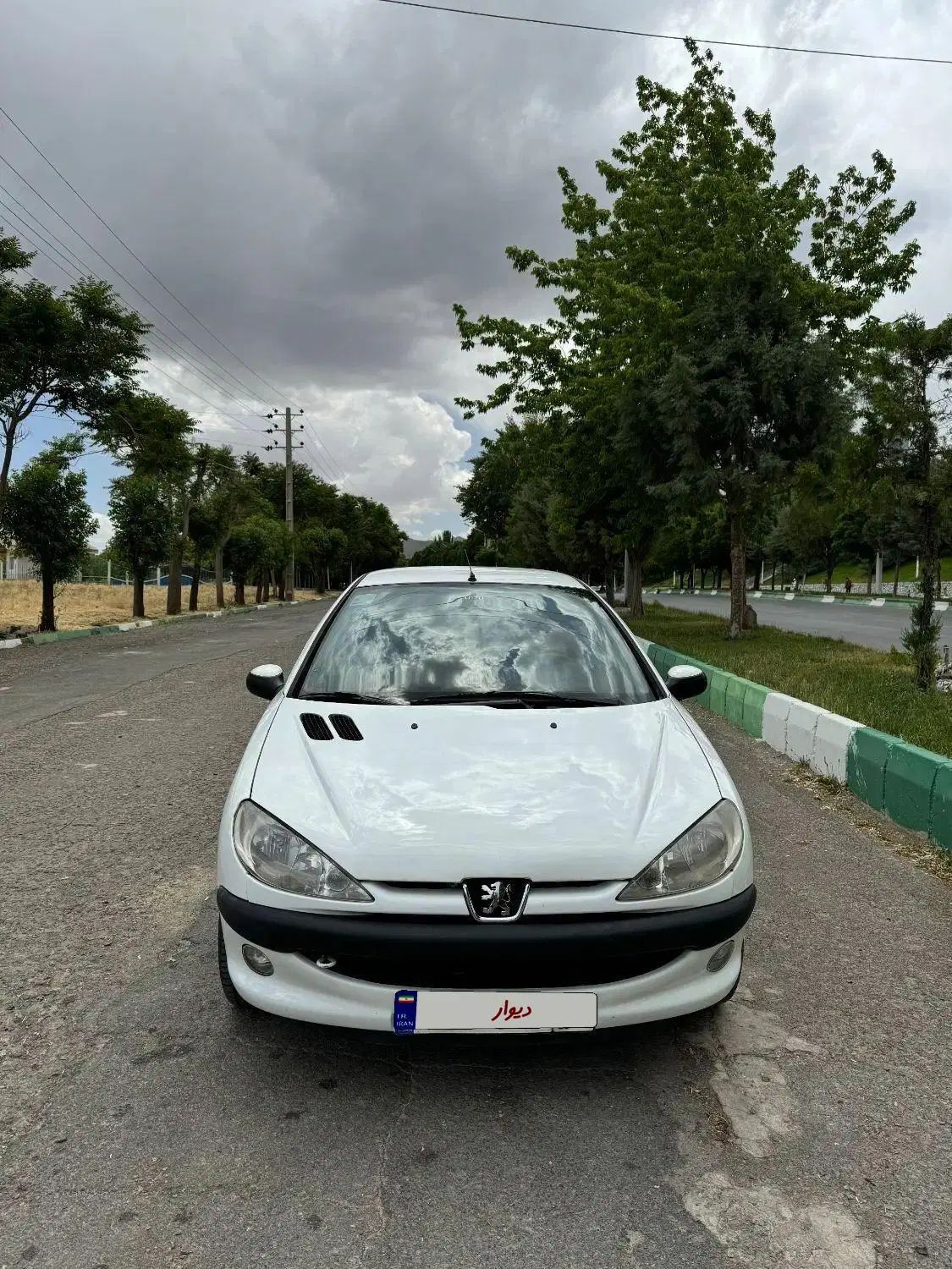 پژو 206 تیپ 5 - 1392