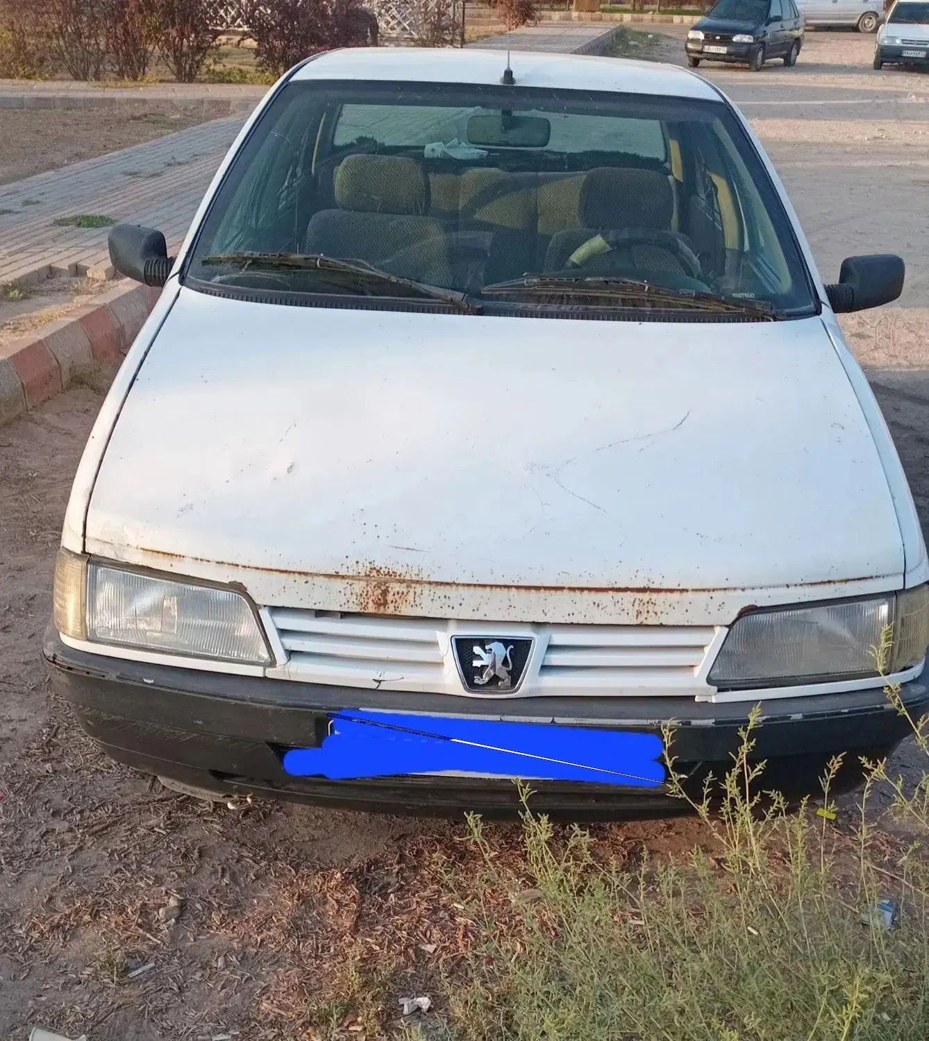 پژو آردی دوگانه سوز CNG - 1384