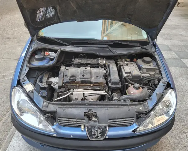 پژو ۲۰۶ صندوق دار v8 - 1395