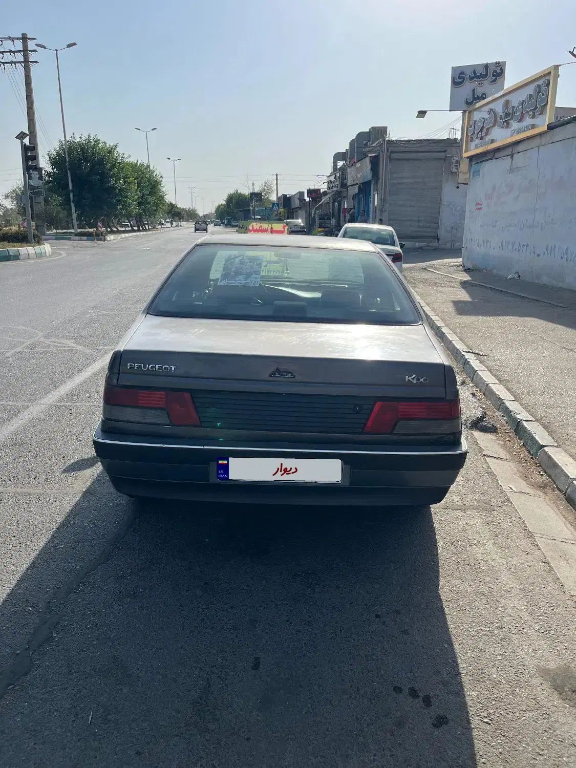 پژو روآ دوگانه سوز - 1385