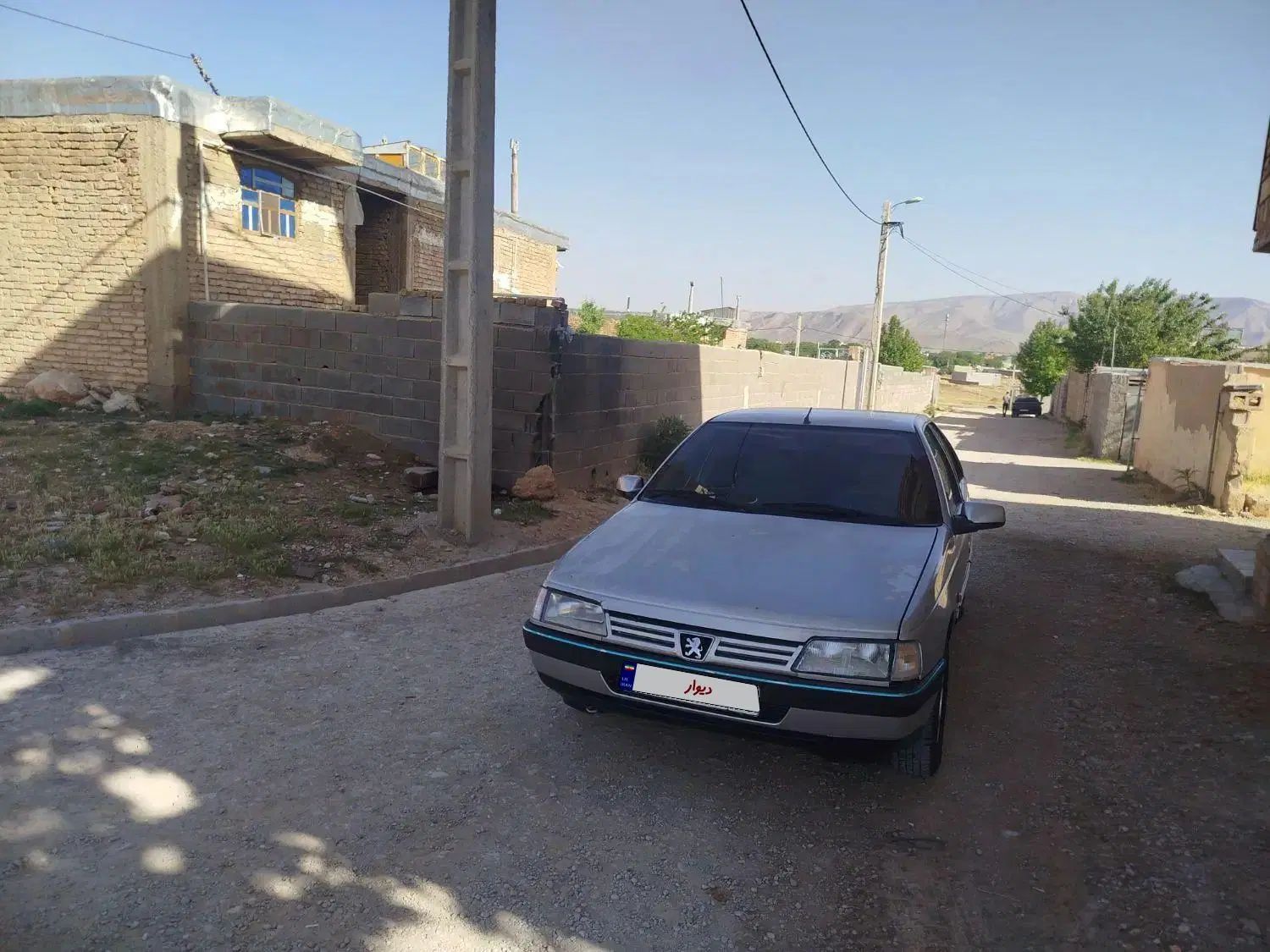پژو 405 GLX - دوگانه سوز - 1390