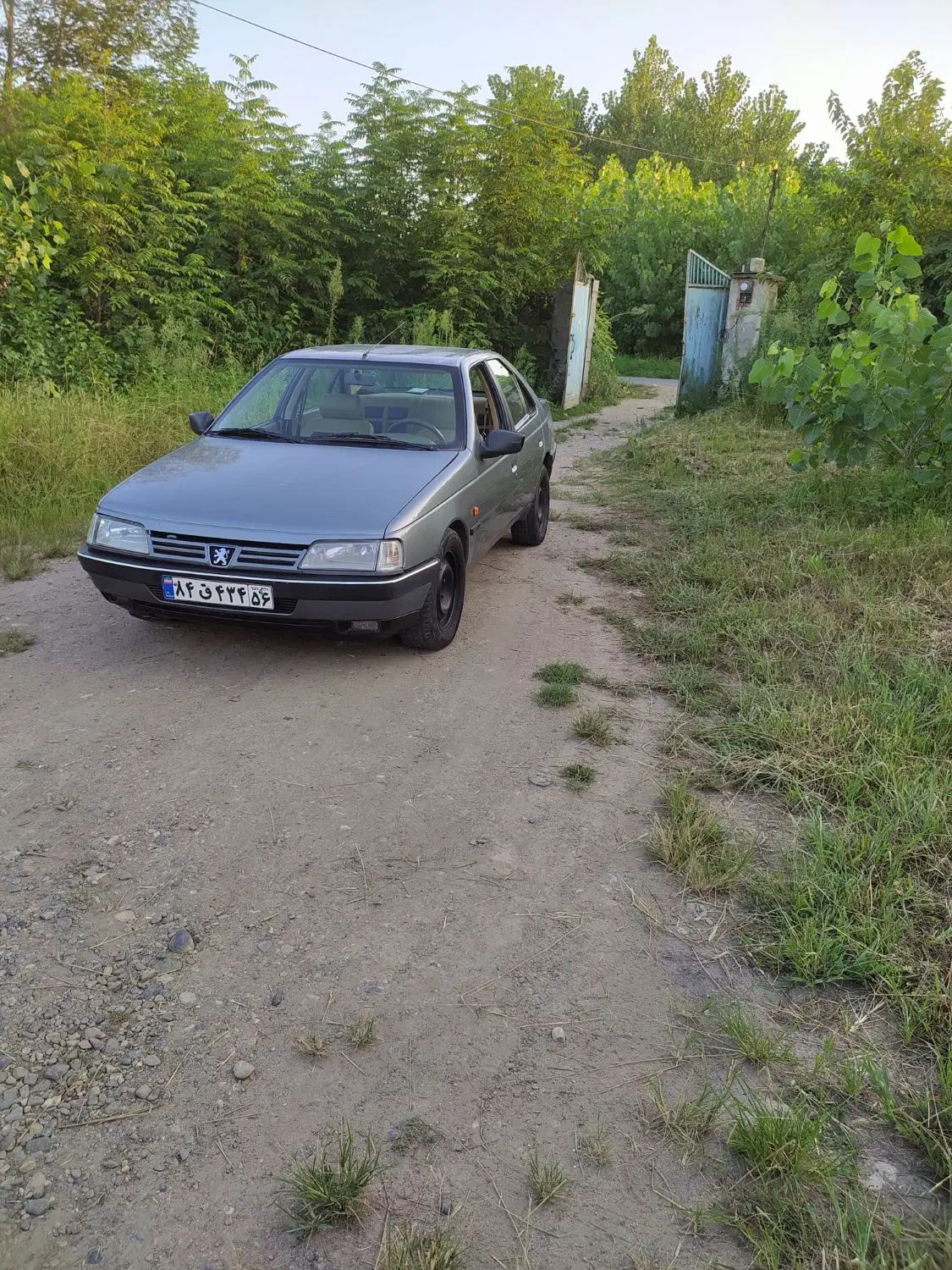 پژو 405 GLX - 1387