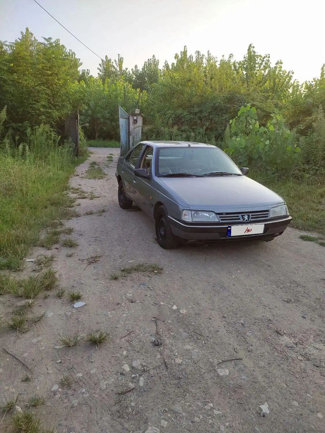 پژو 405 GLX - 1387