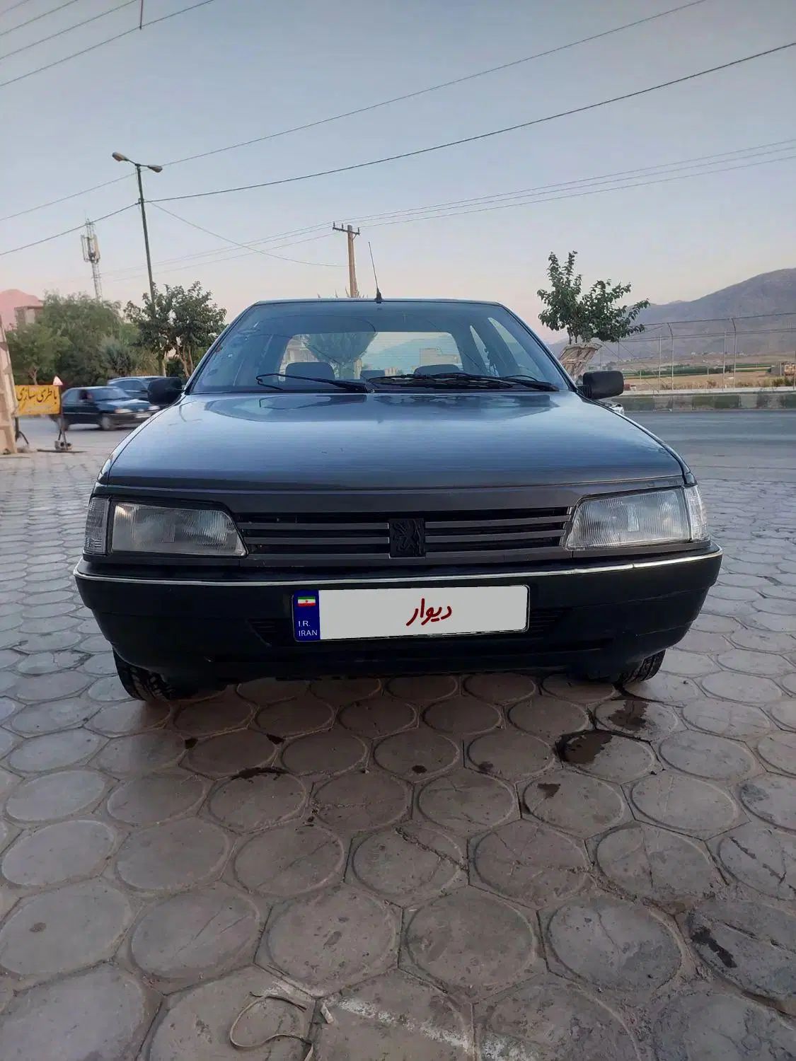 پژو روآ دوگانه سوز - 1386