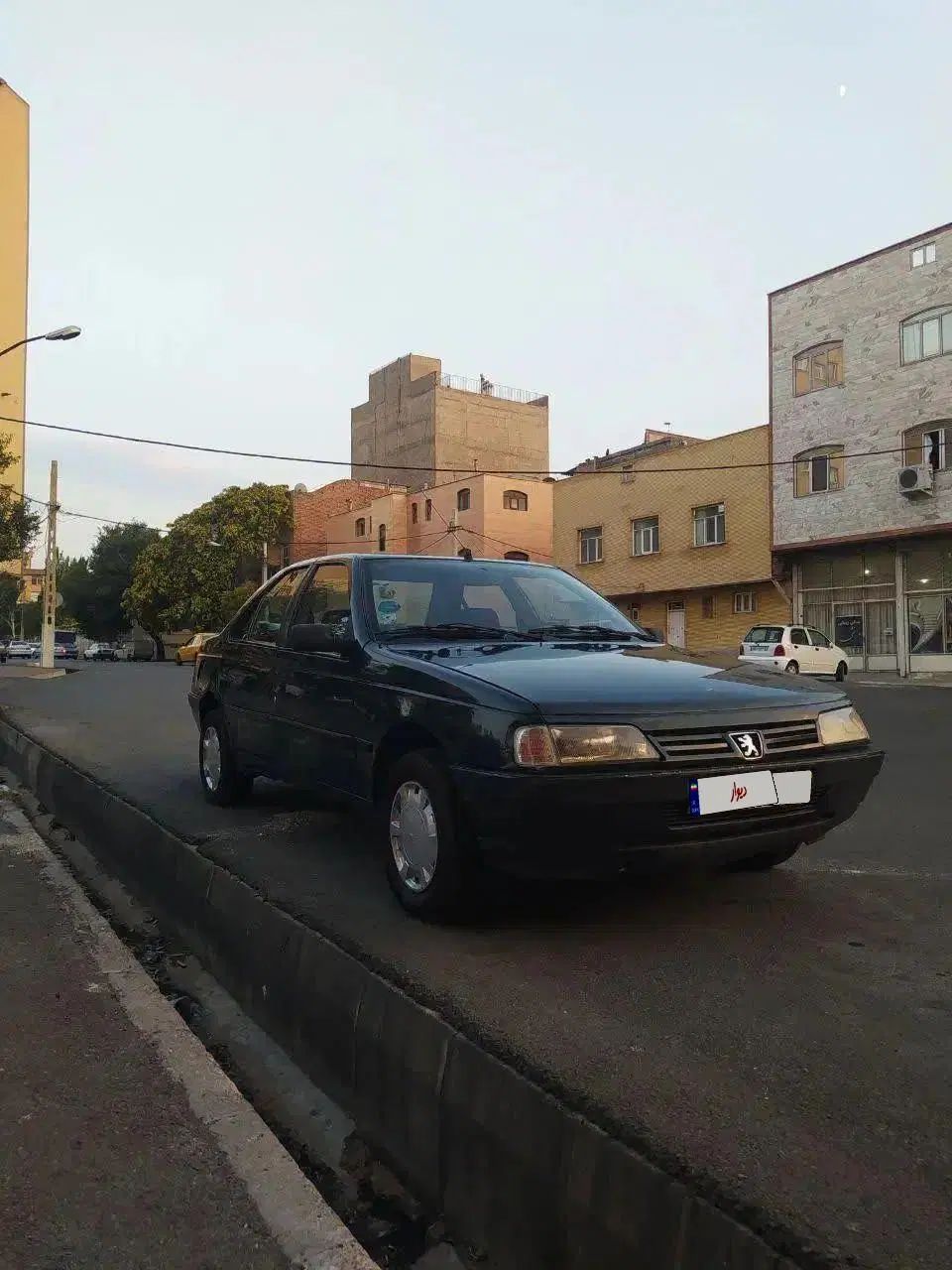 پژو آردی دوگانه سوز LPG - 1384