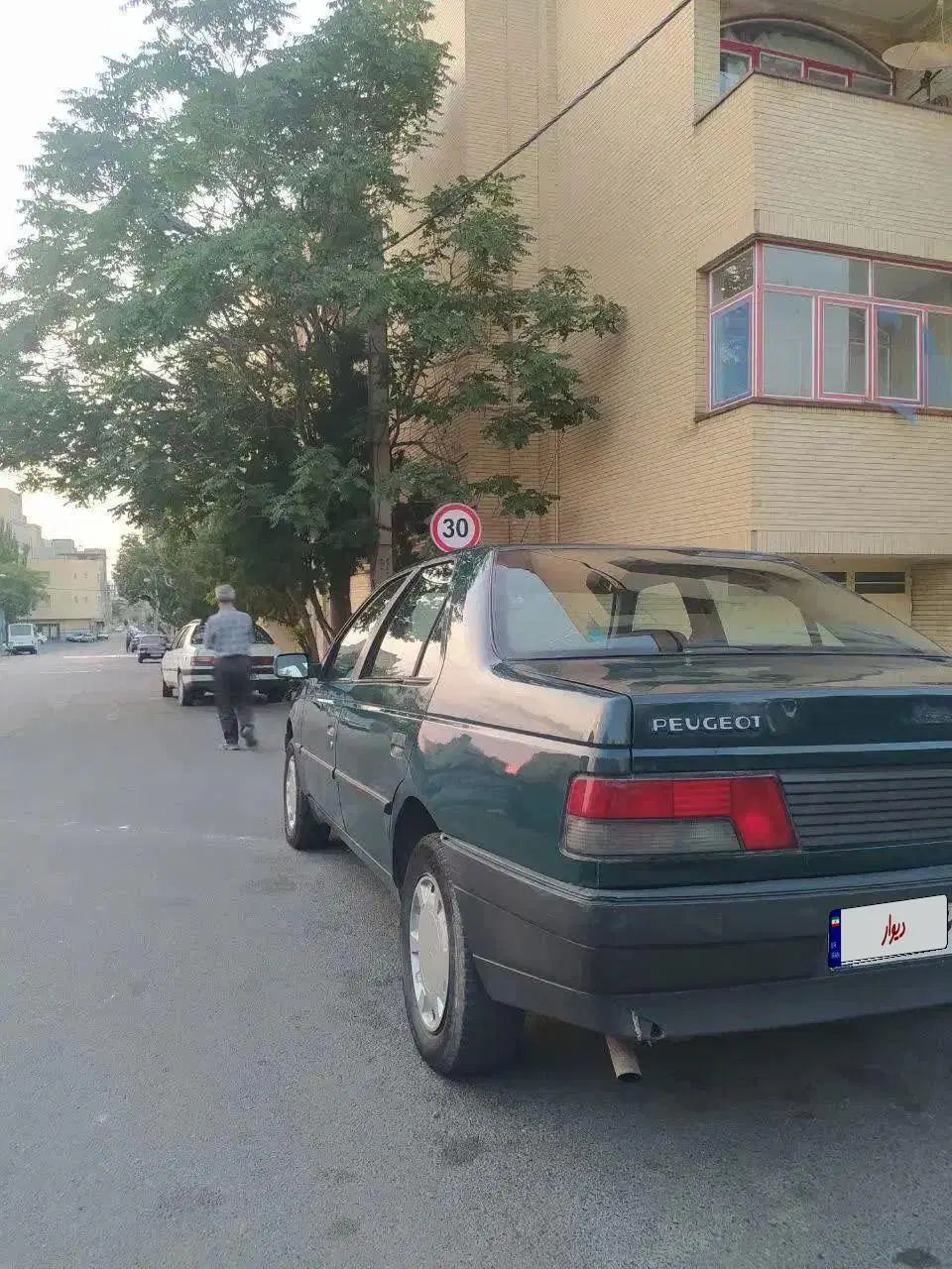 پژو آردی دوگانه سوز LPG - 1384