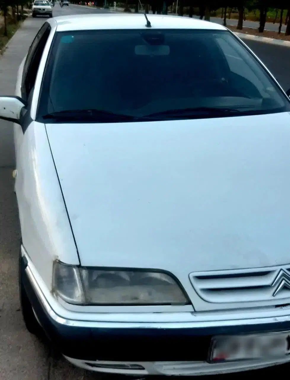 سیتروئن زانتیا SX - 1387