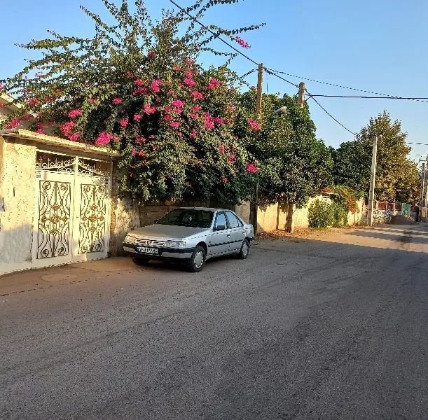 خودرو پژو، 405 آگهی ann_20257035