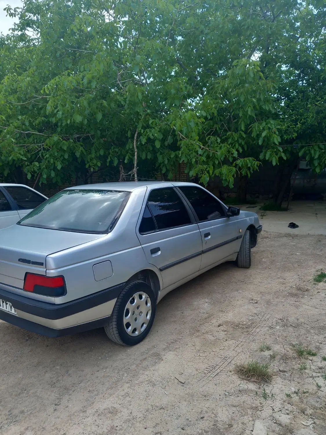 پژو 405 GLX - دوگانه سوز - 1394