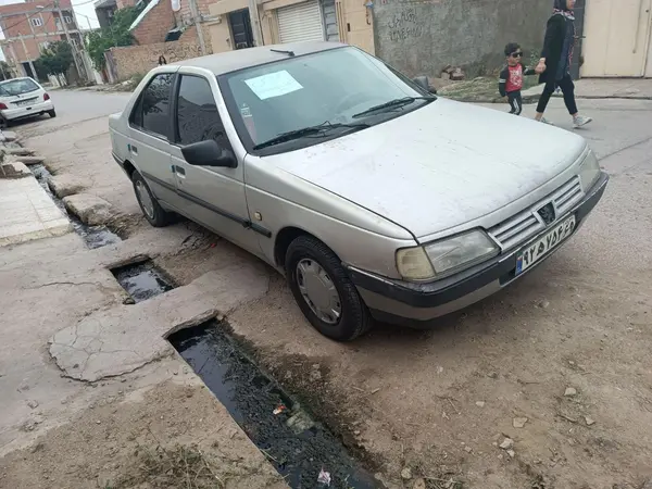 پژو 405 GLX - 1390