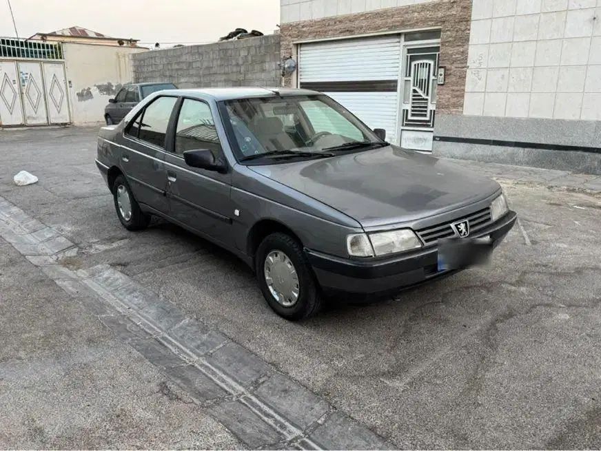پژو 405 GLX - دوگانه سوز - 1393