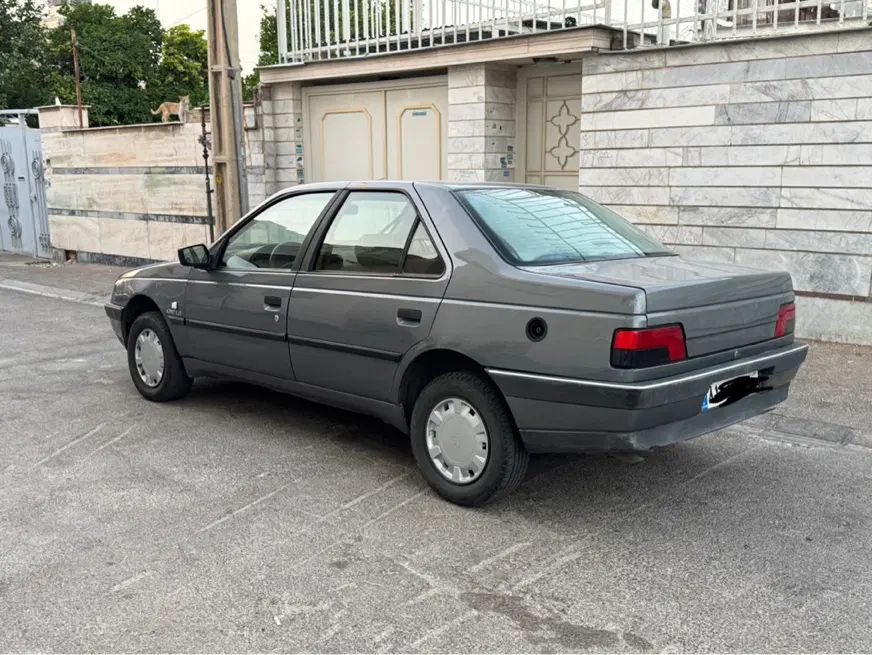 پژو 405 GLX - دوگانه سوز - 1393