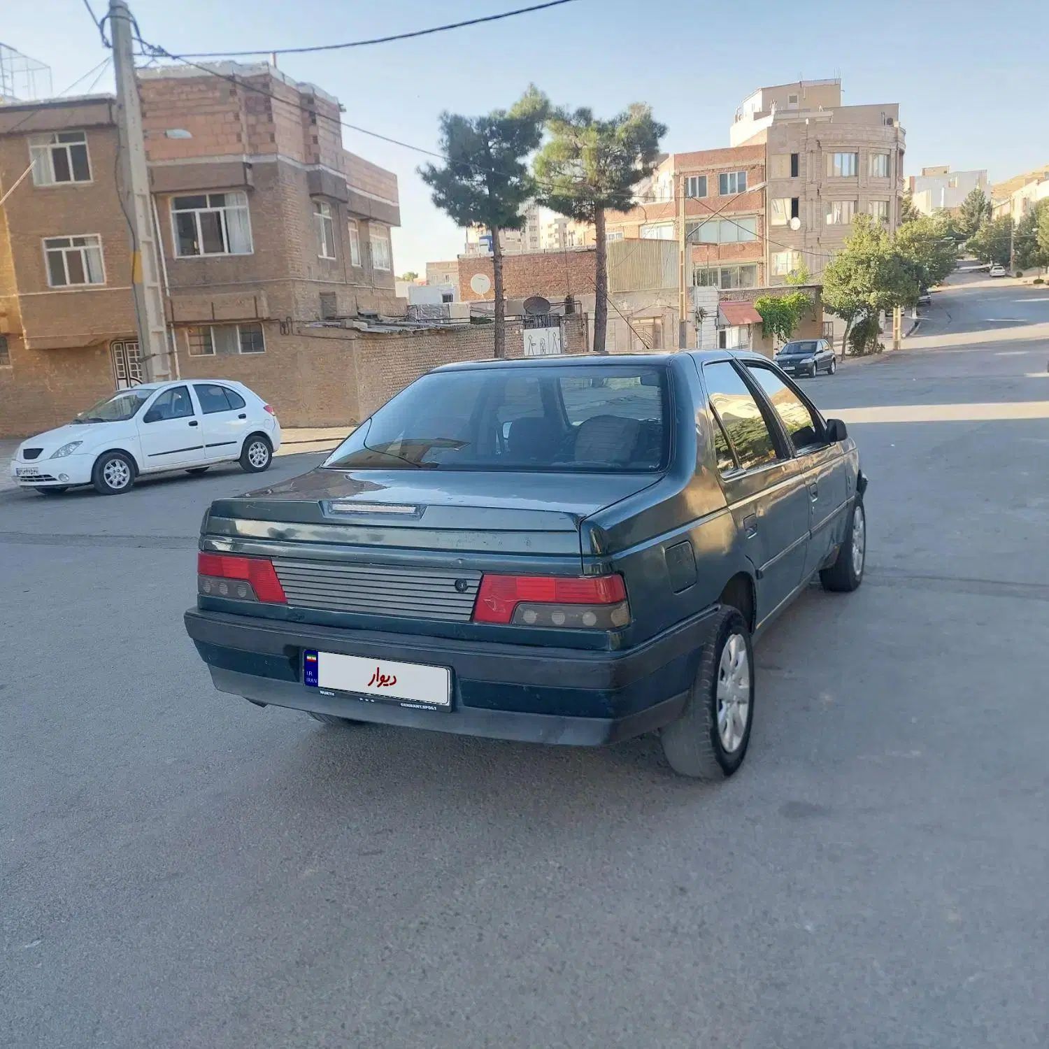 پژو آردی دوگانه سوز CNG - 1383