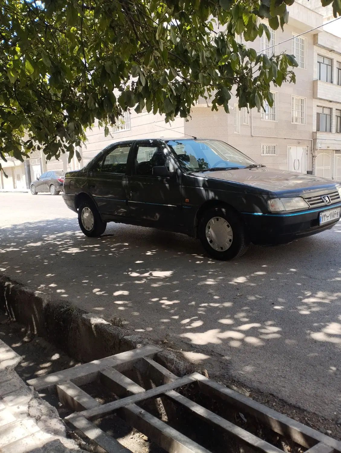 خودرو پژو، 405 آگهی ann_20259651