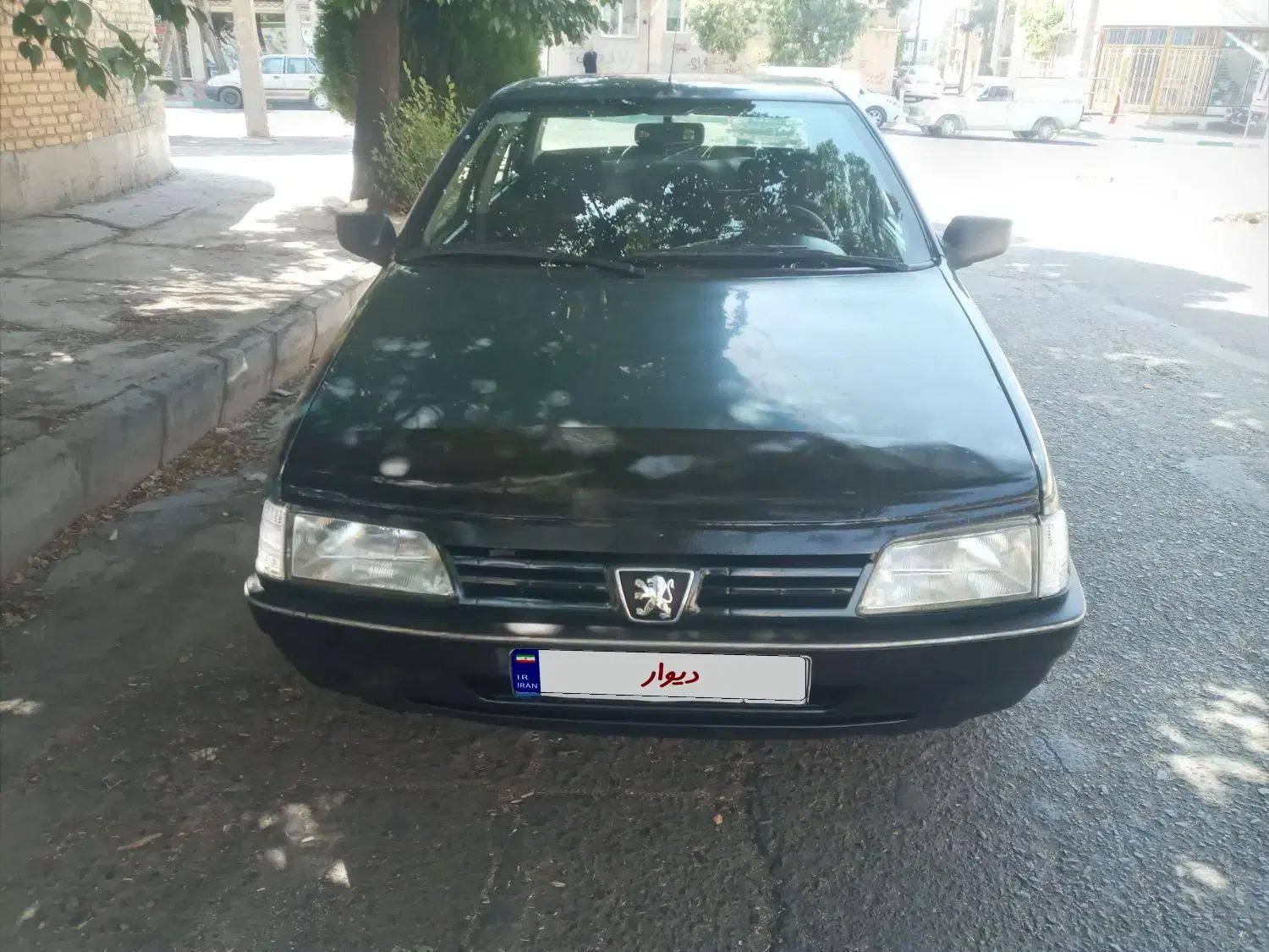 پژو آردی دوگانه سوز CNG - 1384