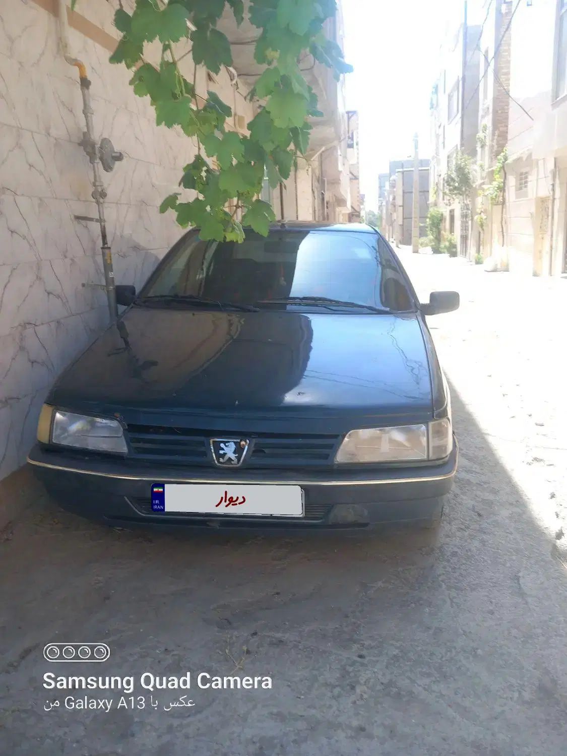 پژو آردی دوگانه سوز CNG - 1383