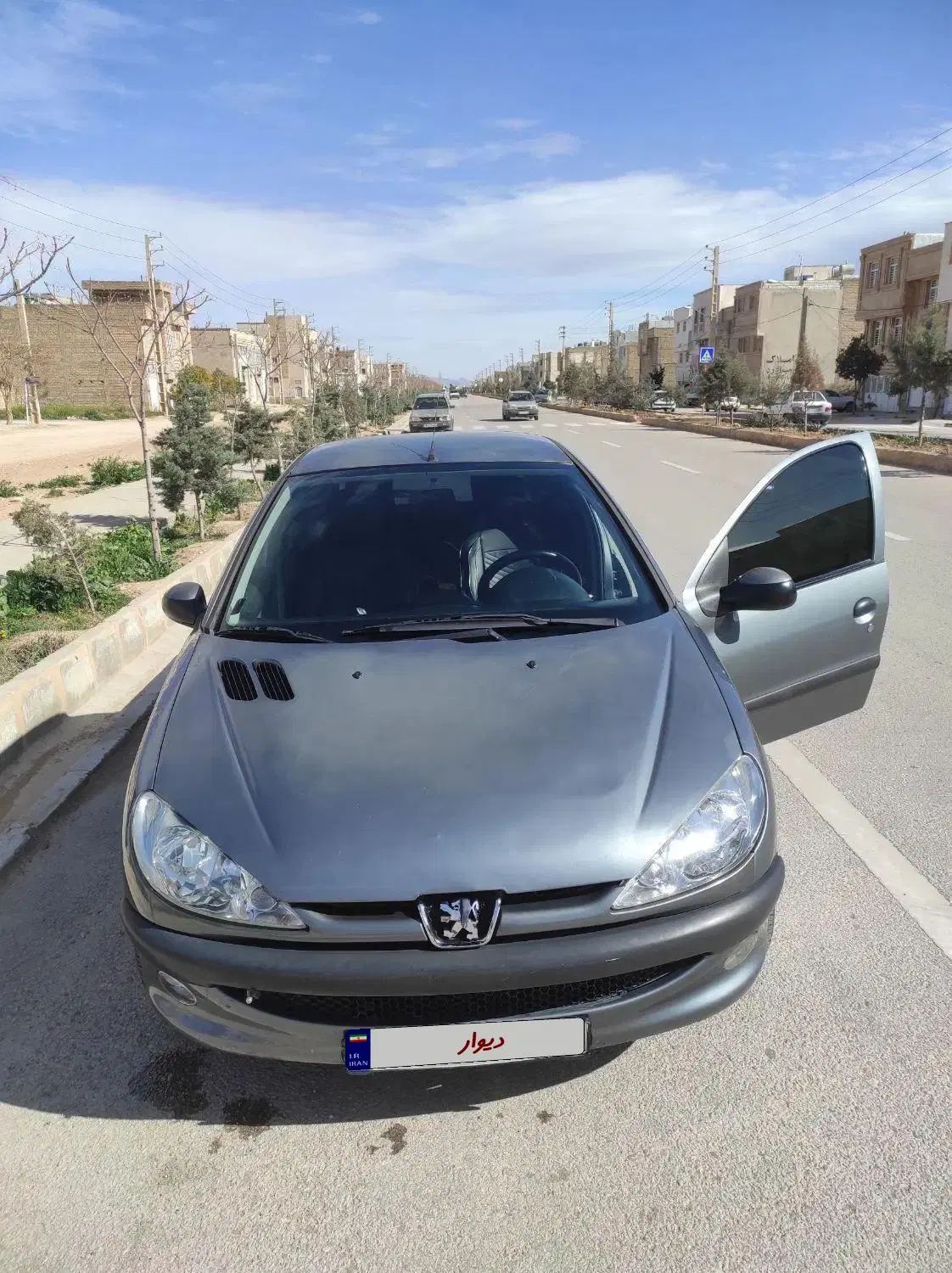 پژو 206 تیپ 5 - 1393