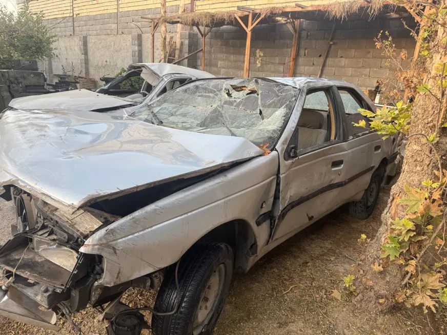 پژو 405 GLX - دوگانه سوز - 1391