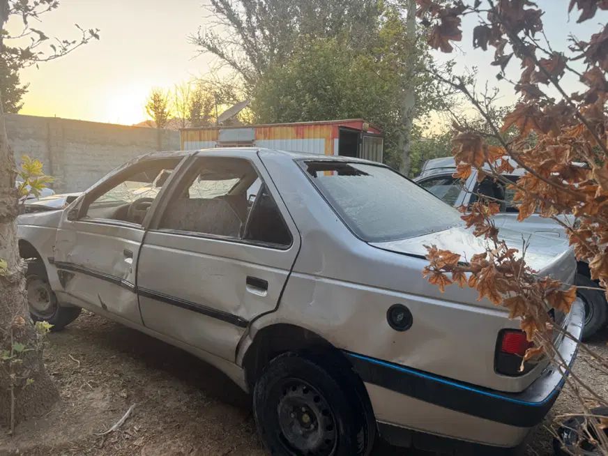 پژو 405 GLX - دوگانه سوز - 1391