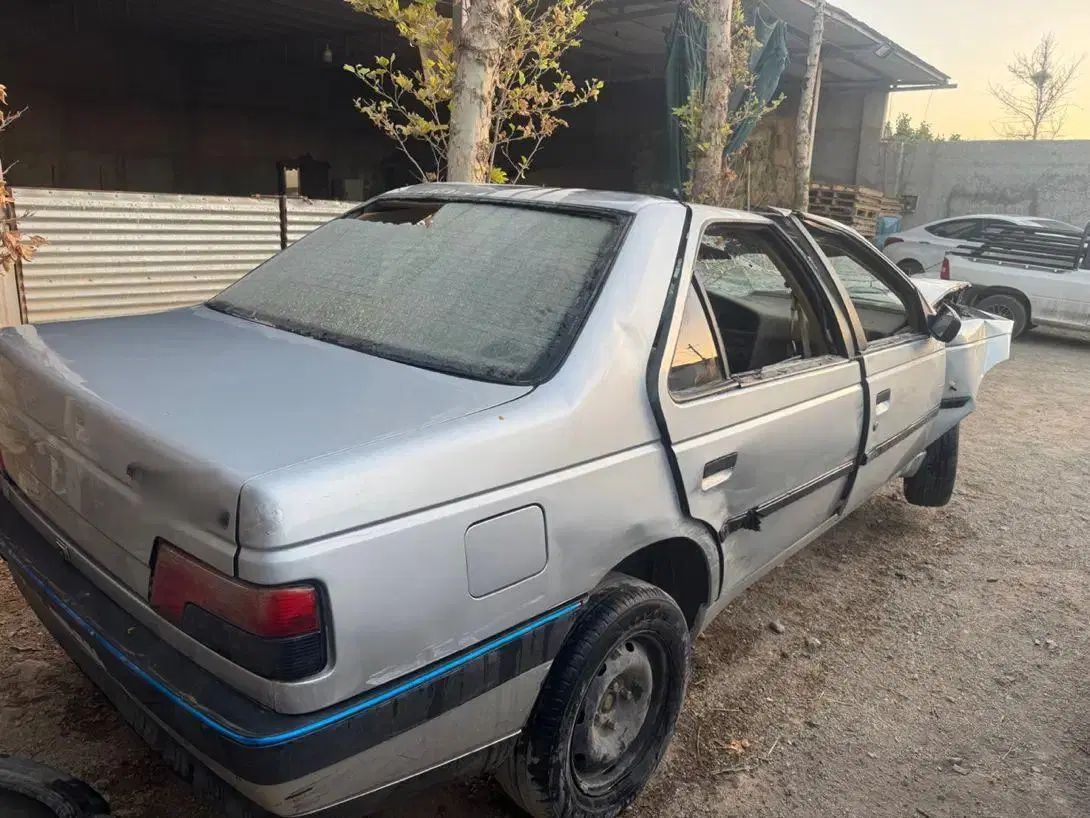 پژو 405 GLX - دوگانه سوز - 1391