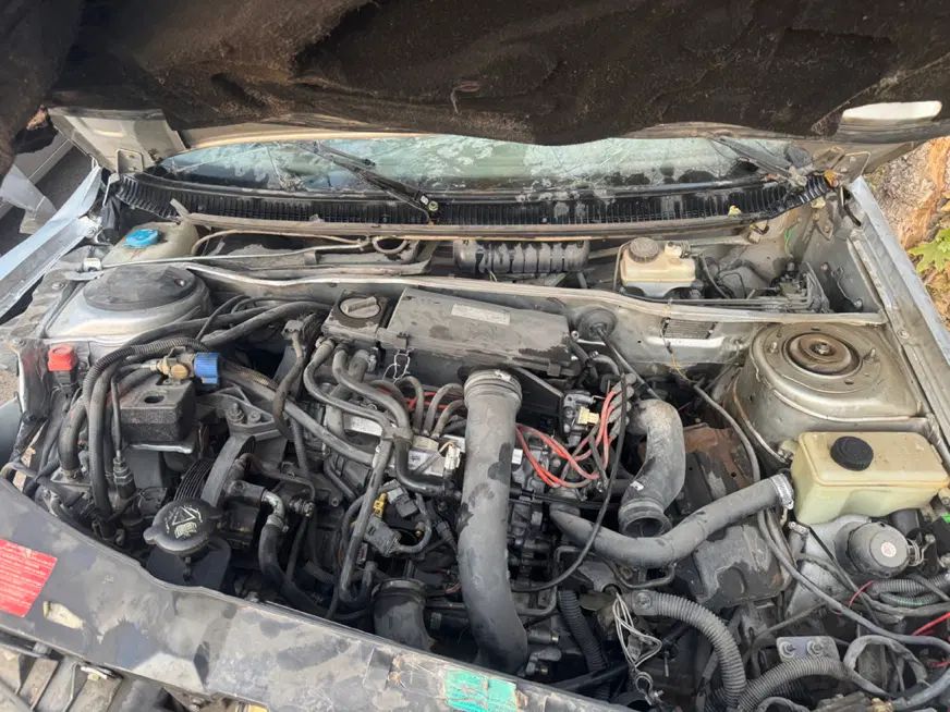 پژو 405 GLX - دوگانه سوز - 1391