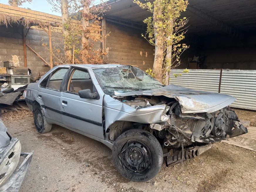 پژو 405 GLX - دوگانه سوز - 1391