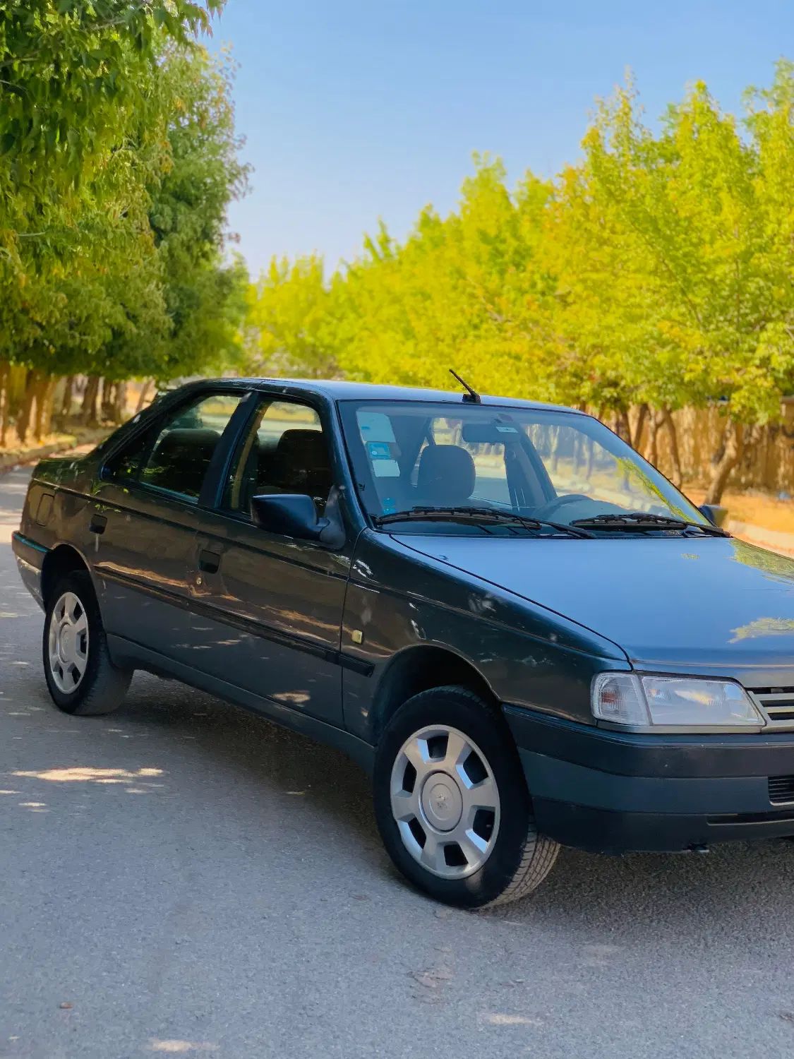 پژو 405 GLX - دوگانه سوز - 1396