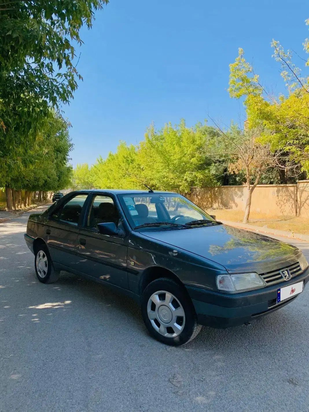 پژو 405 GLX - دوگانه سوز - 1396