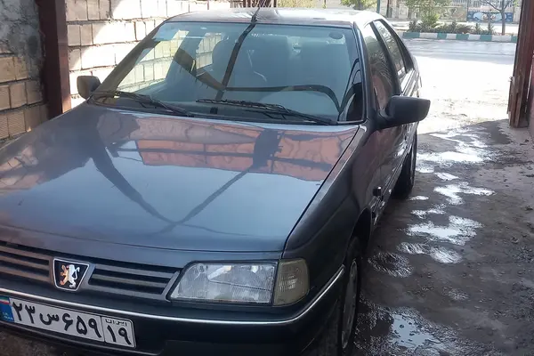 پژو 405 GLX - دوگانه سوز - 1395