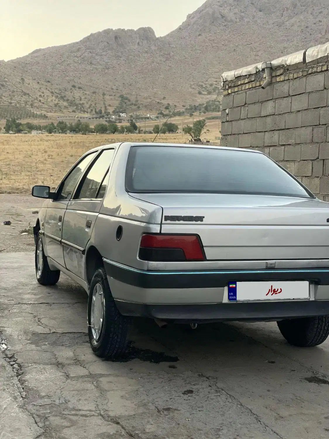 پژو 405 GLX - دوگانه سوز - 1390