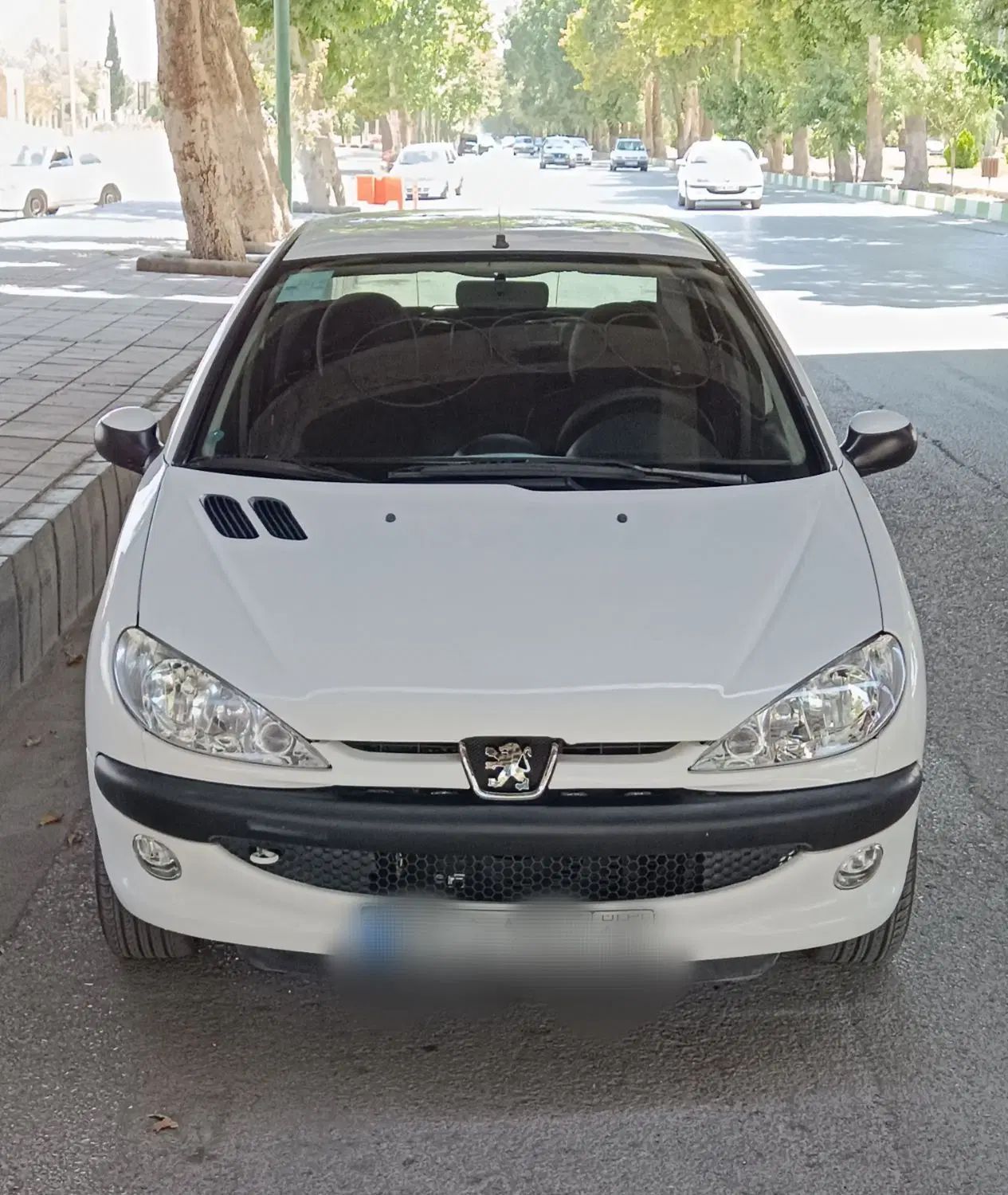 پژو ۲۰۶ صندوق دار v8 - 1396