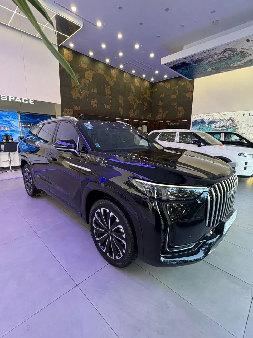 بی وای دی سانگ پلاس PHEV - 2025