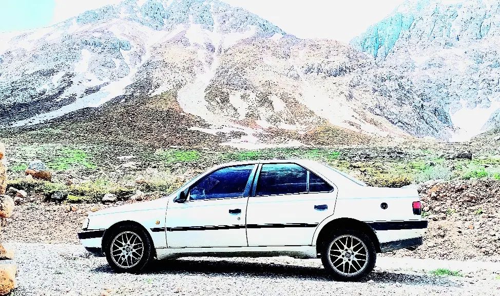 پژو 405 GLX - 1387
