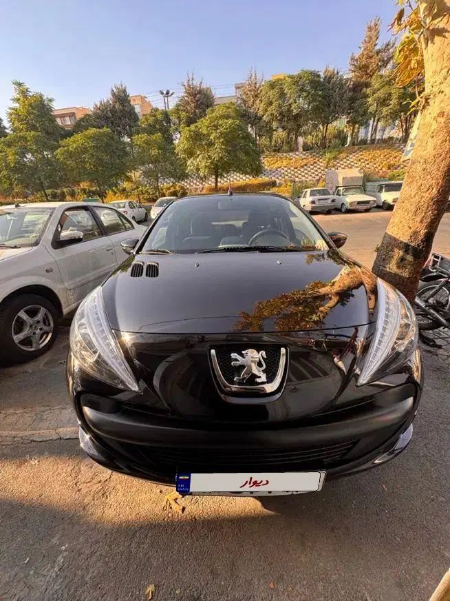 خودرو پژو، 207 آگهی ann_20271877