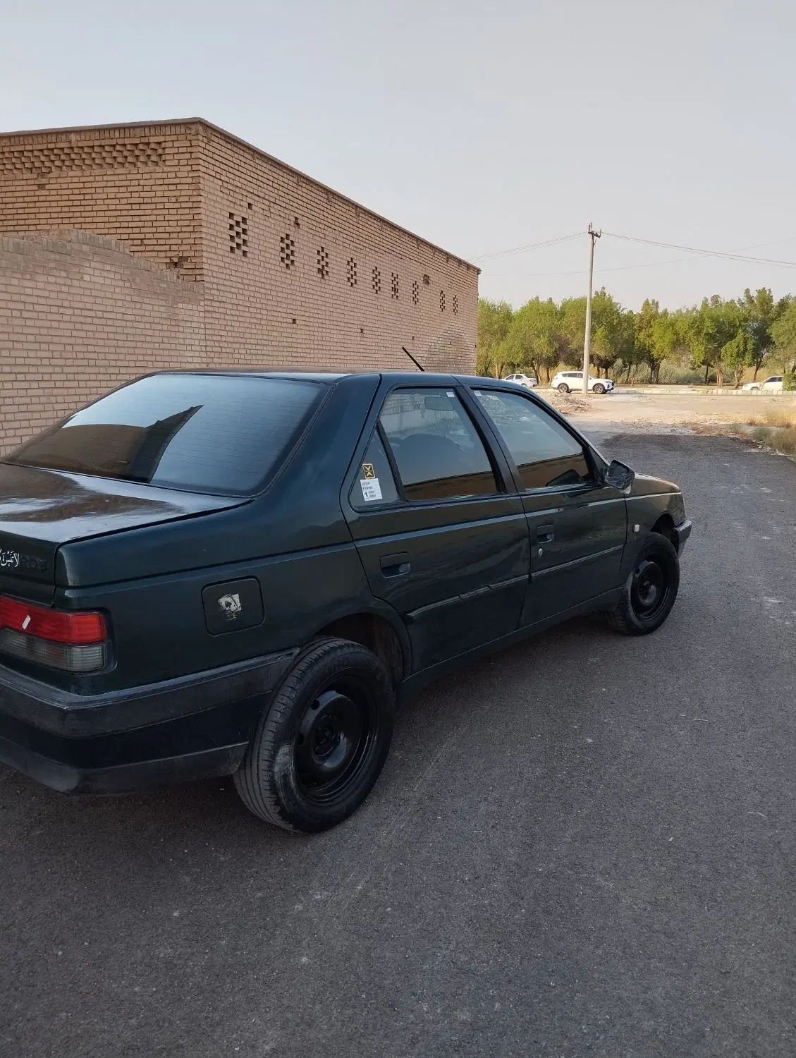 پژو آردی دوگانه سوز CNG - 1384