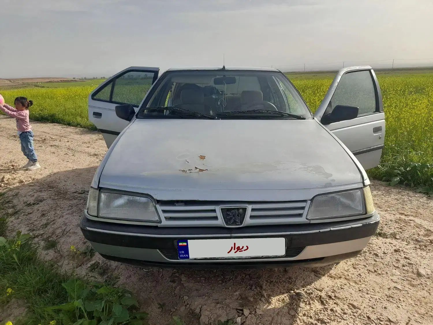 پژو 405 دوگانه سوز GLX - TU5 - 1389