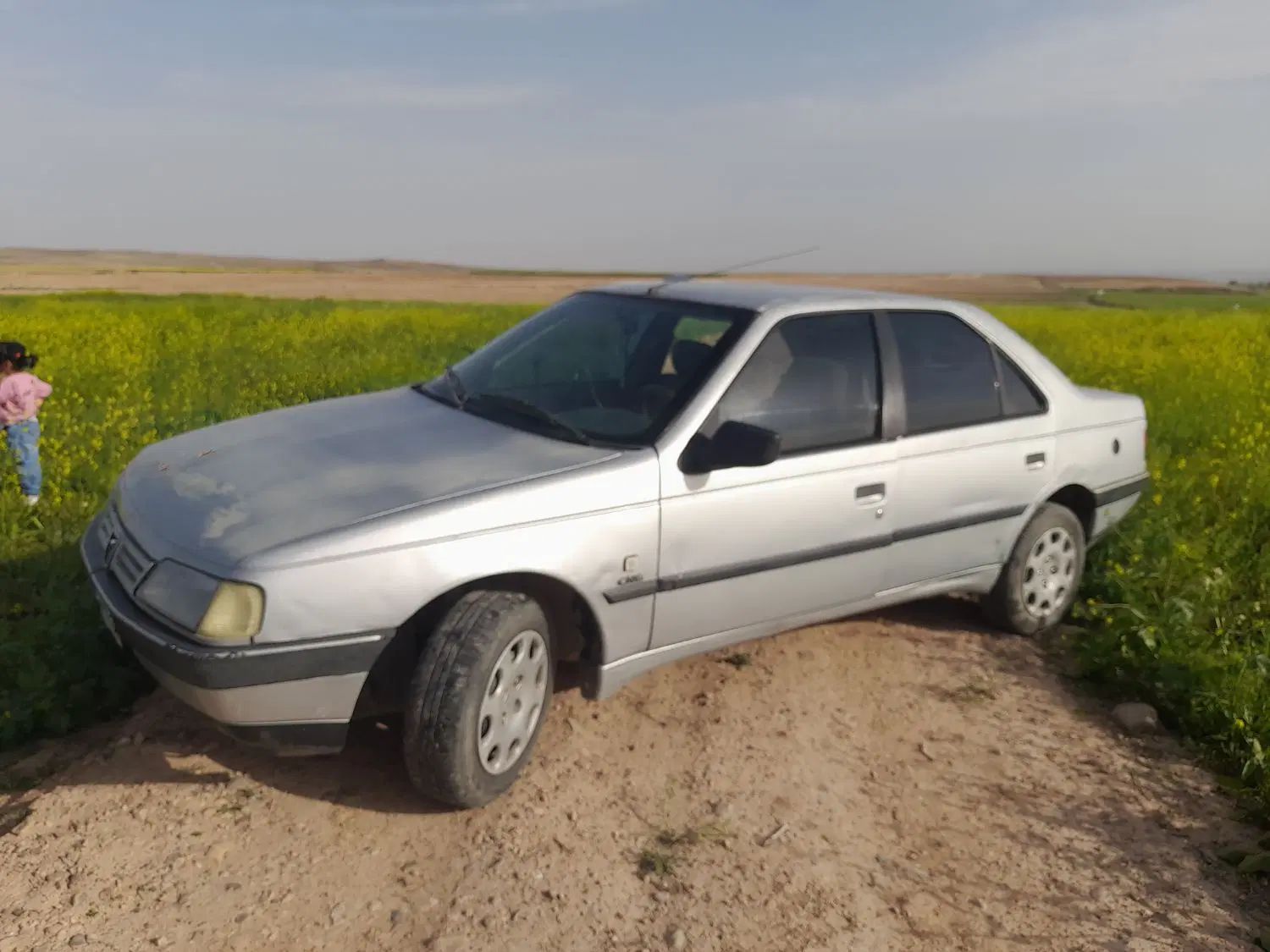 پژو 405 دوگانه سوز GLX - TU5 - 1389
