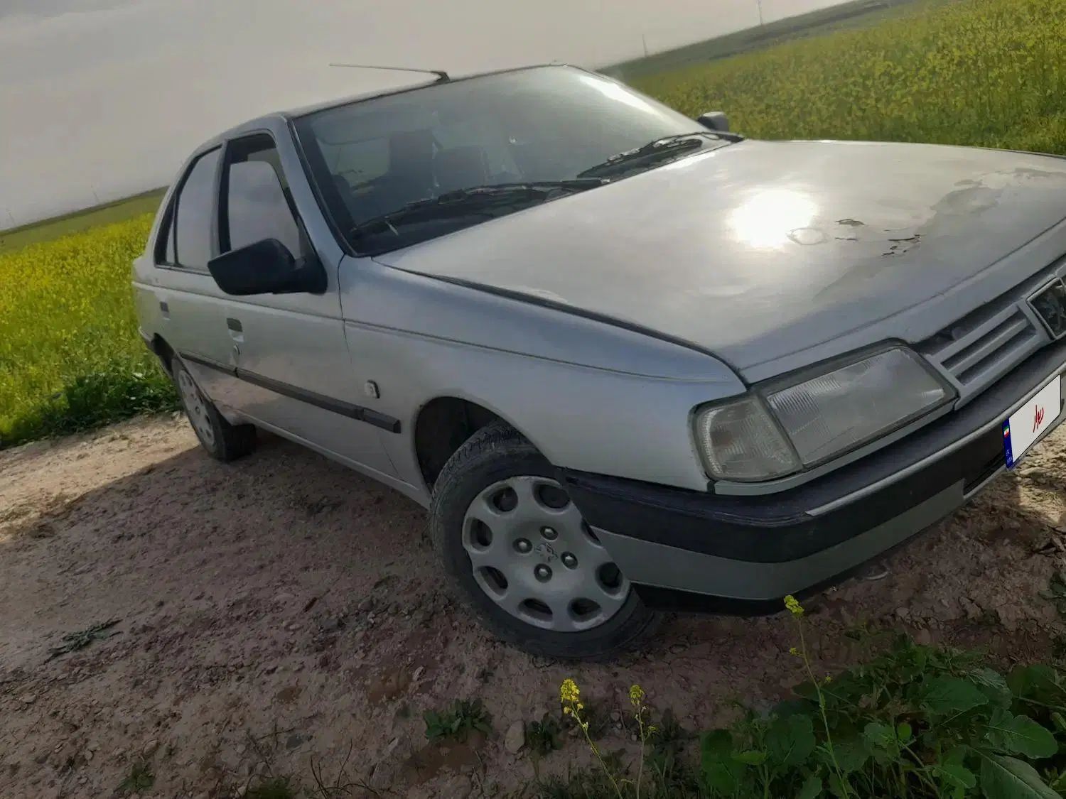 پژو 405 دوگانه سوز GLX - TU5 - 1389