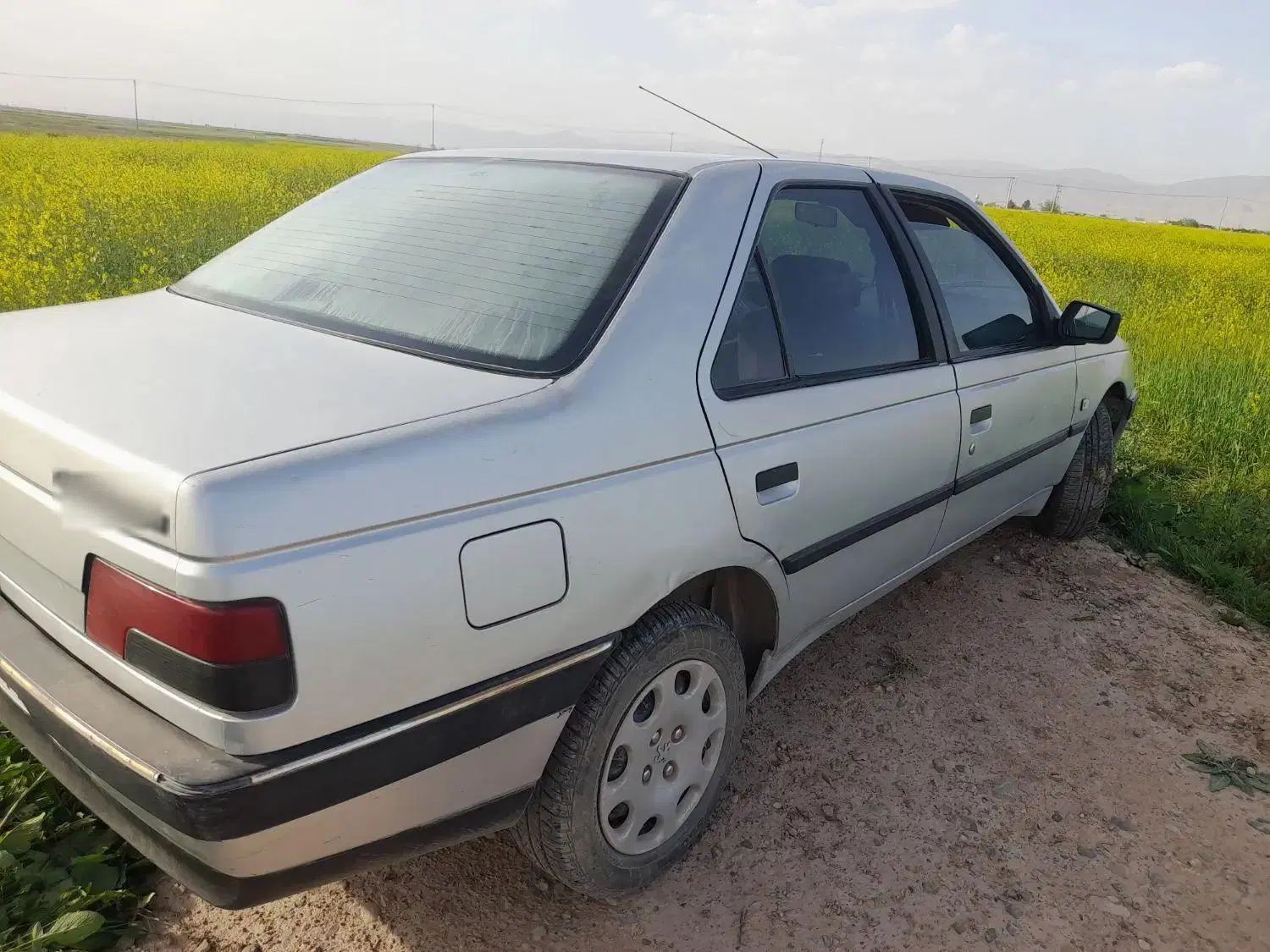 پژو 405 دوگانه سوز GLX - TU5 - 1389