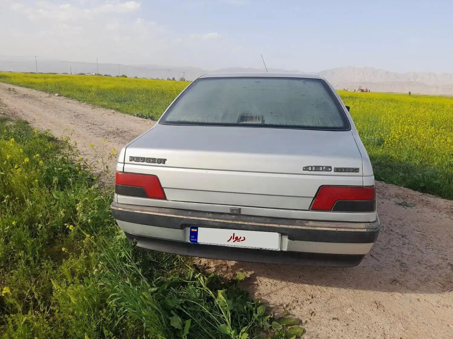 پژو 405 دوگانه سوز GLX - TU5 - 1389