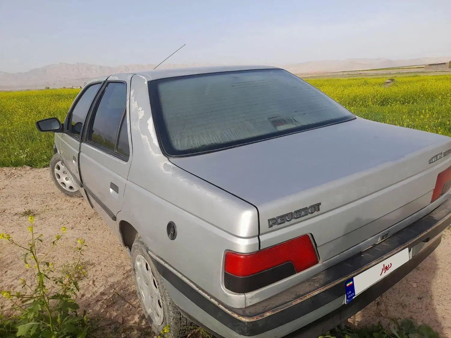 پژو 405 دوگانه سوز GLX - TU5 - 1389