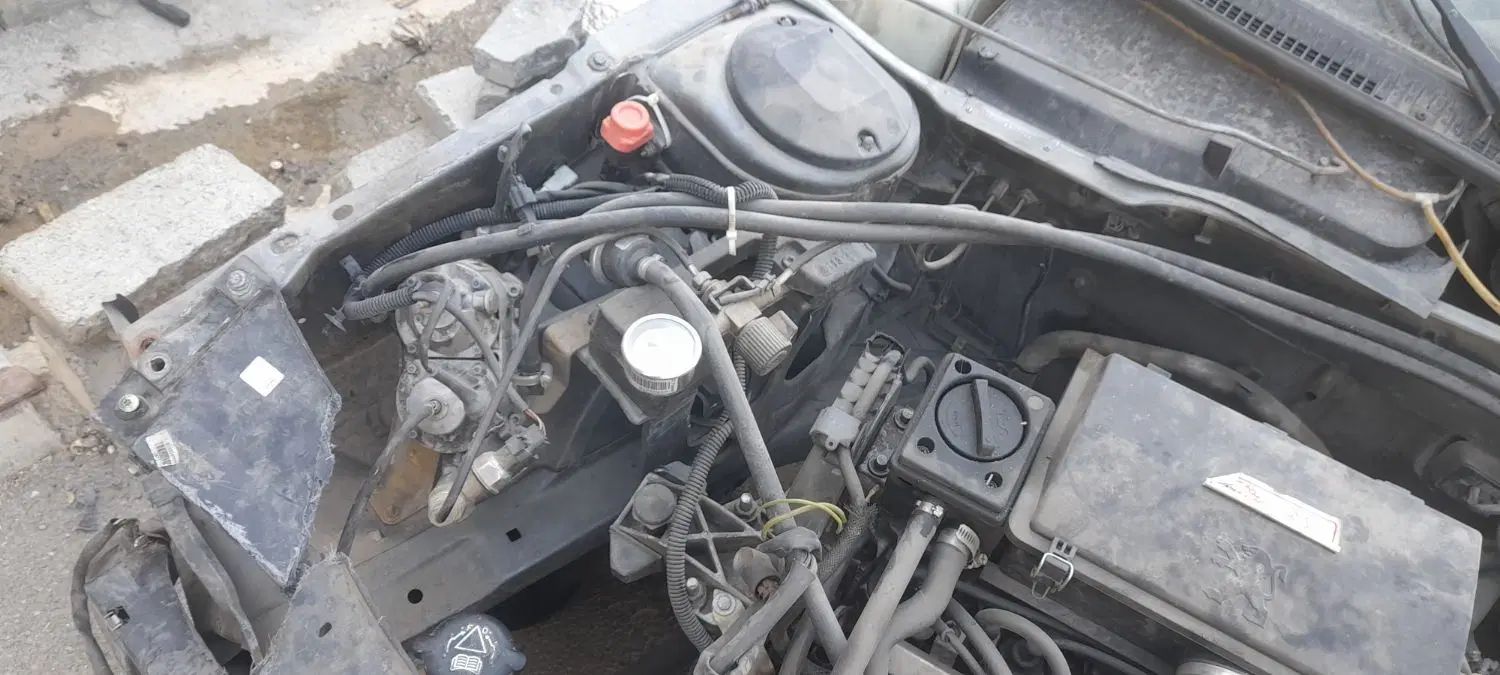 پژو 405 GLX - دوگانه سوز - 1390