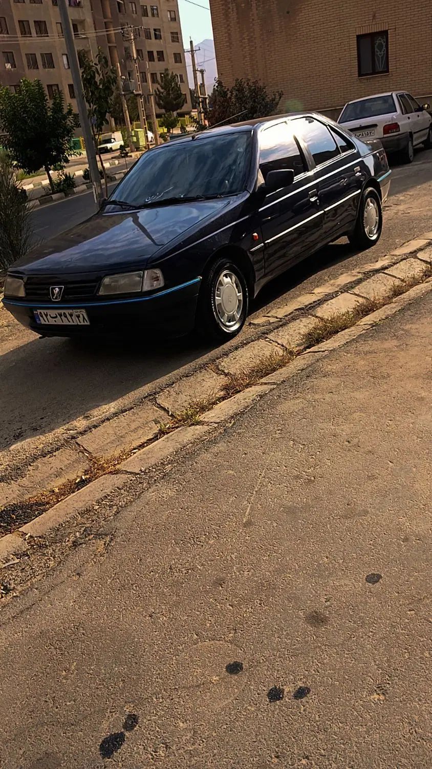 پژو آردی دوگانه سوز CNG - 1385