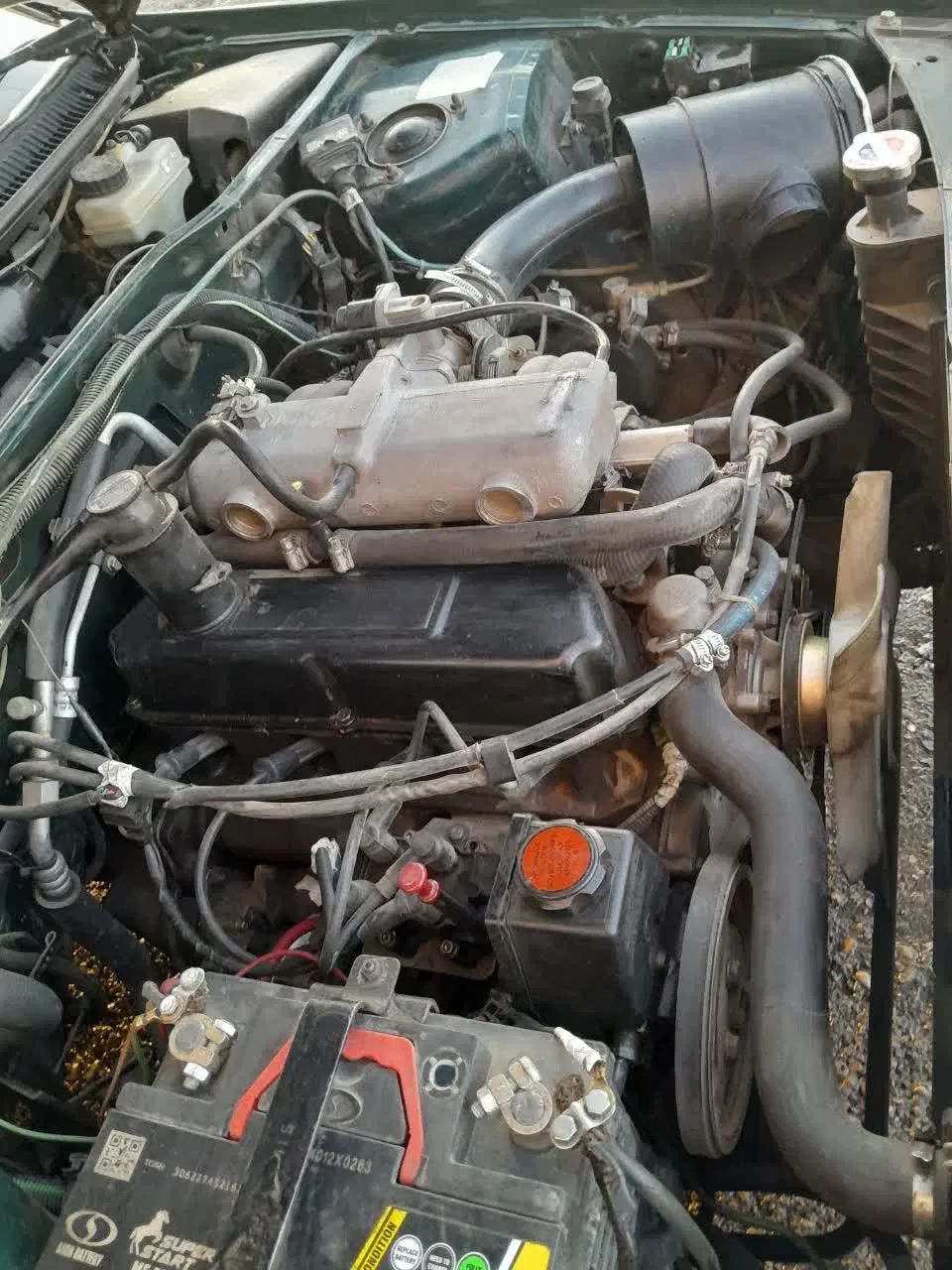 پژو آردی دوگانه سوز CNG - 1383