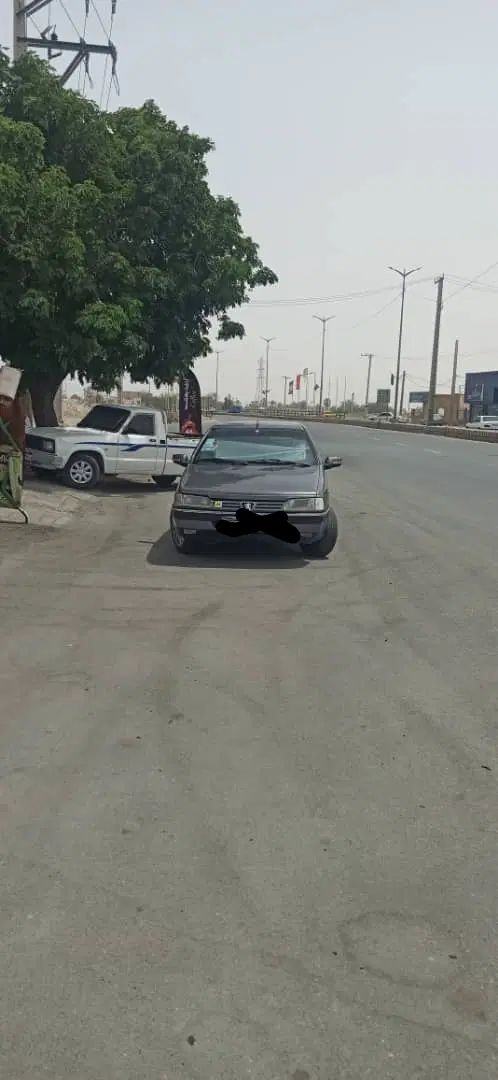 خودرو پژو، 405 آگهی ann_20275665